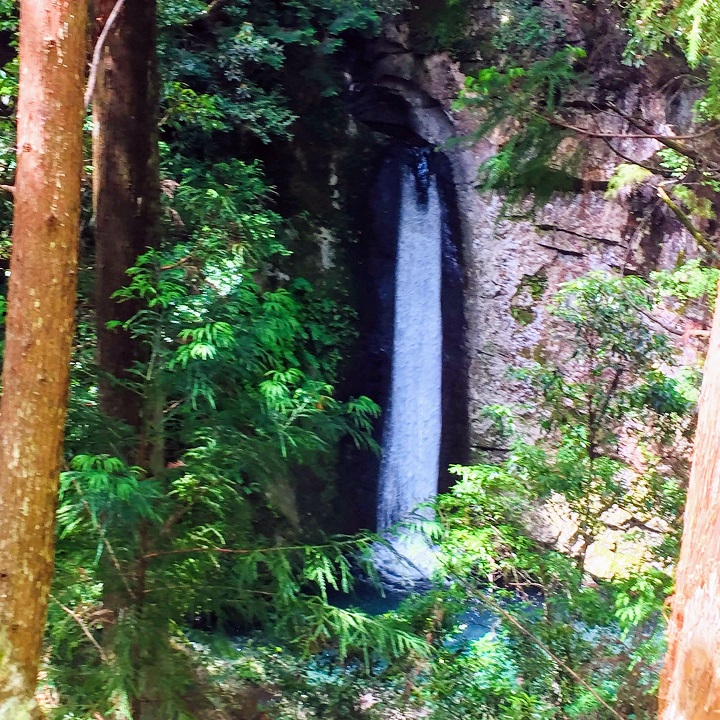 古座川のきれいな滝　神水瀑