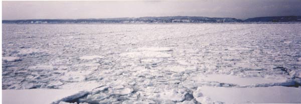 観光流氷砕氷船から見える流氷